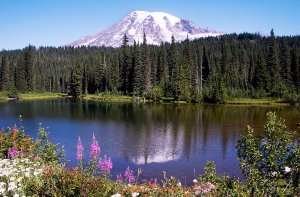 Northwest Skydiving League